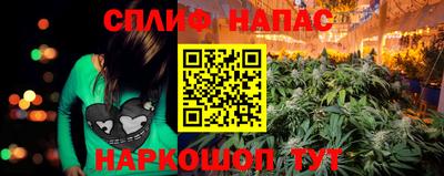 spice Кинель