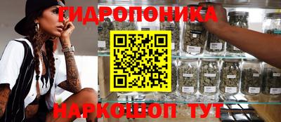 spice Кинель