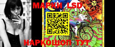 меф Кингисепп